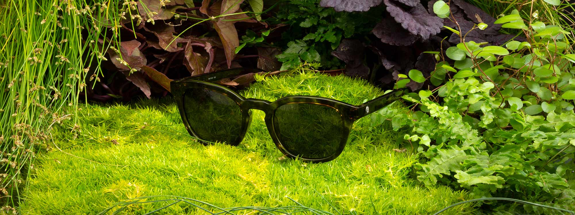 lafayette green sunglass bellevue frame
