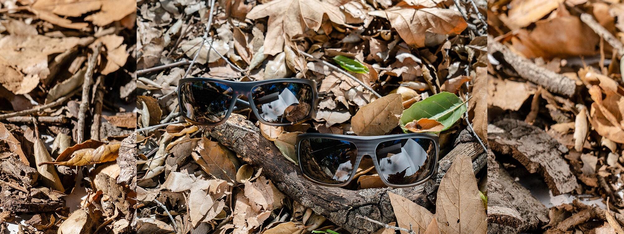 Sunglasses with Live Oak Frames by Electric
